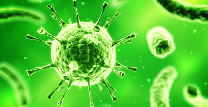 Nota CORONAVIRUS