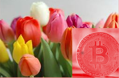 DE LES TULIPES ALS BITCOINS